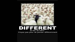 Voeux 2018